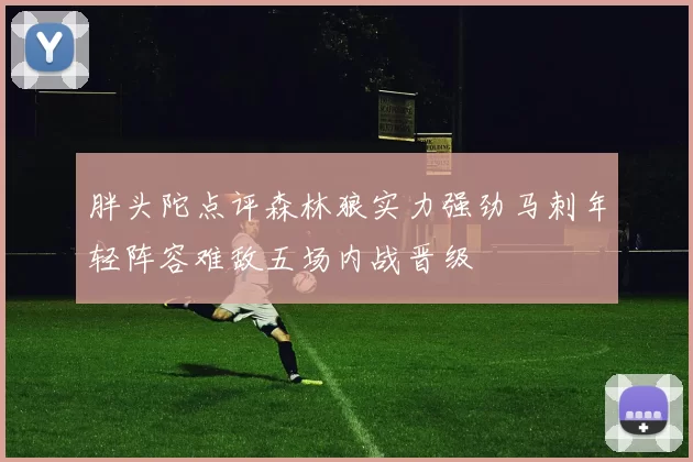 胖头陀点评森林狼实力强劲马刺年轻阵容难敌五场内战晋级
